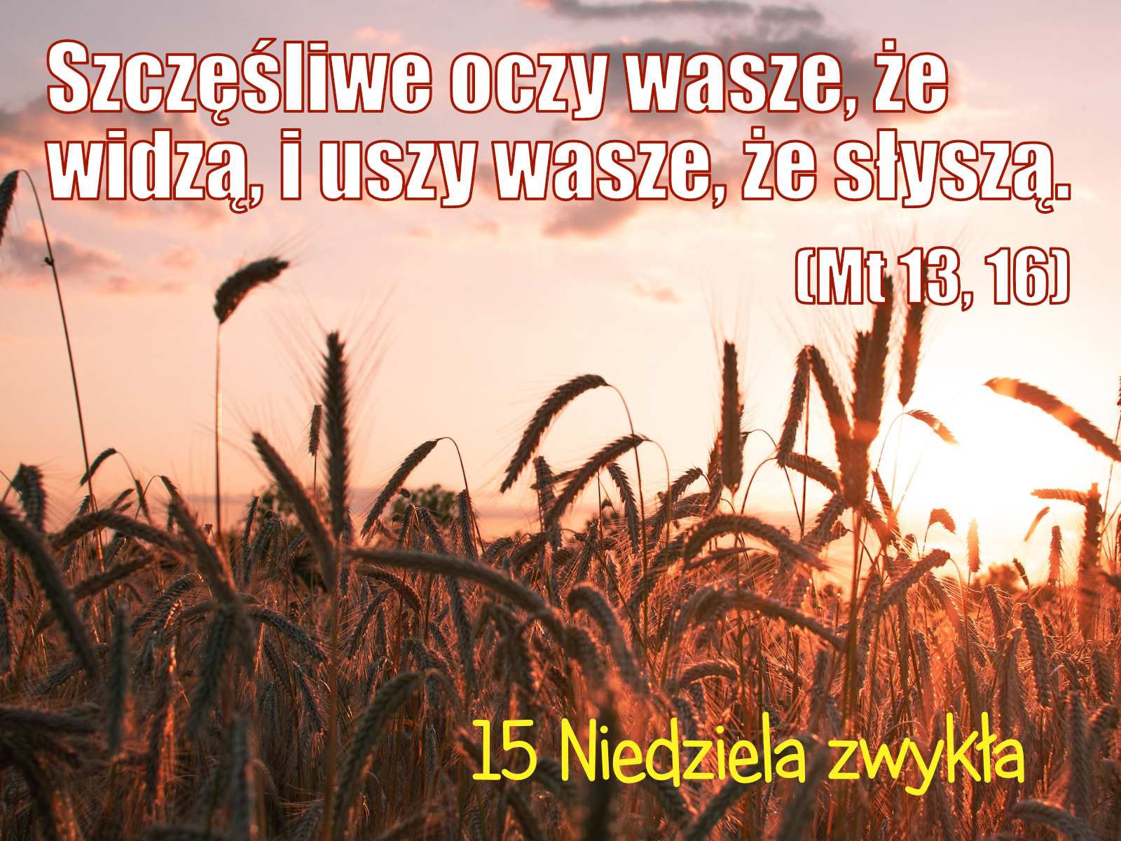 Read more about the article 15. Niedziela Zwykła