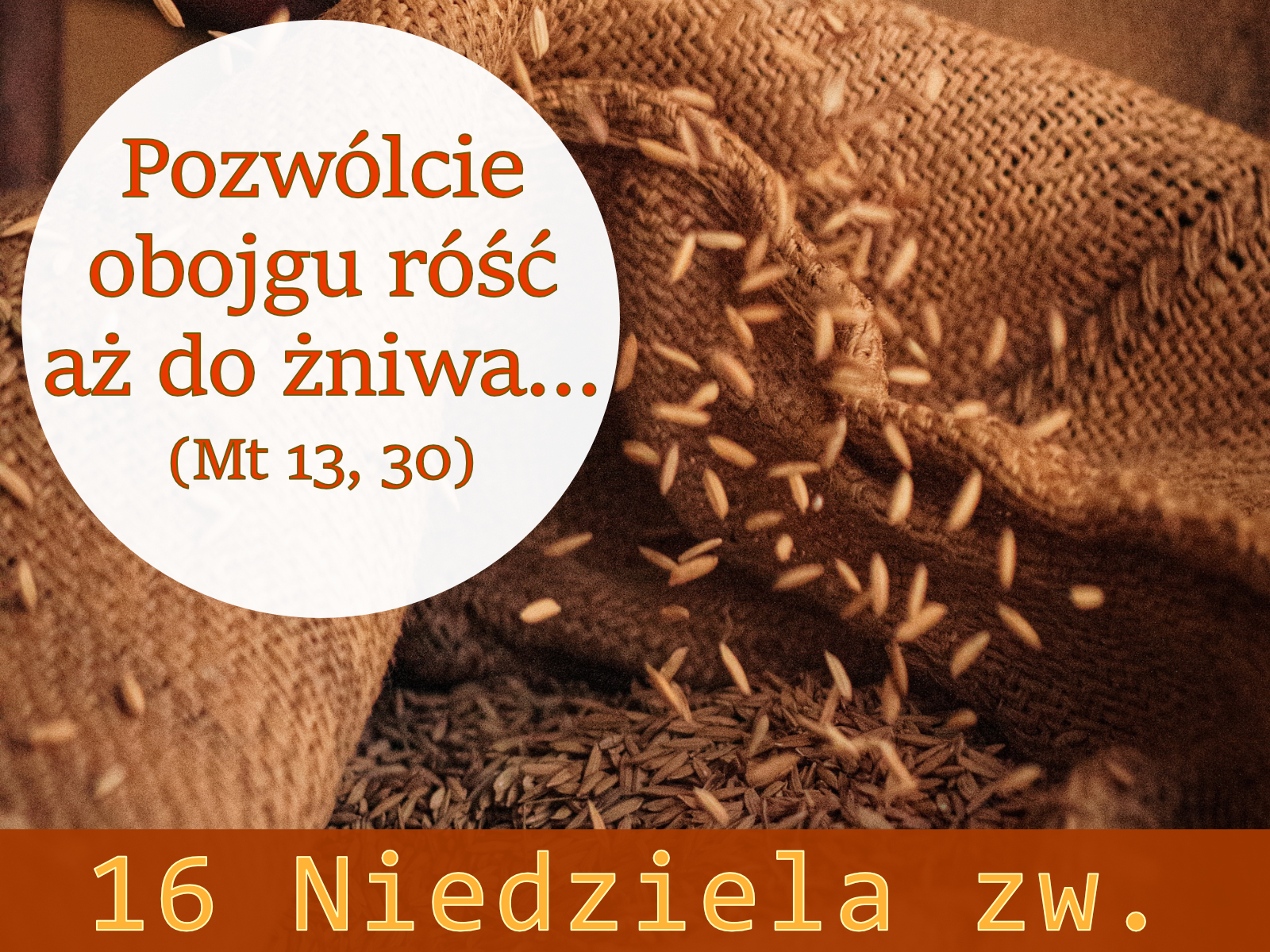 Read more about the article 16. Niedziela Zwykła