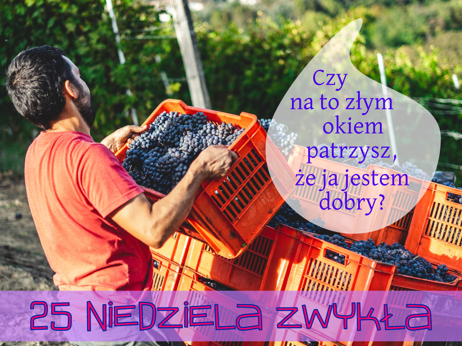 Read more about the article 25 Niedziela Zw.