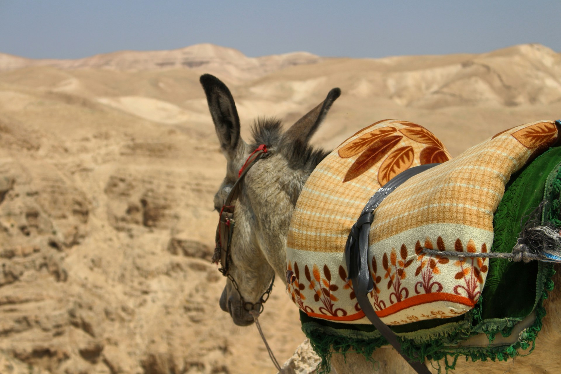 3 Nd. Adwentu (A) 2025