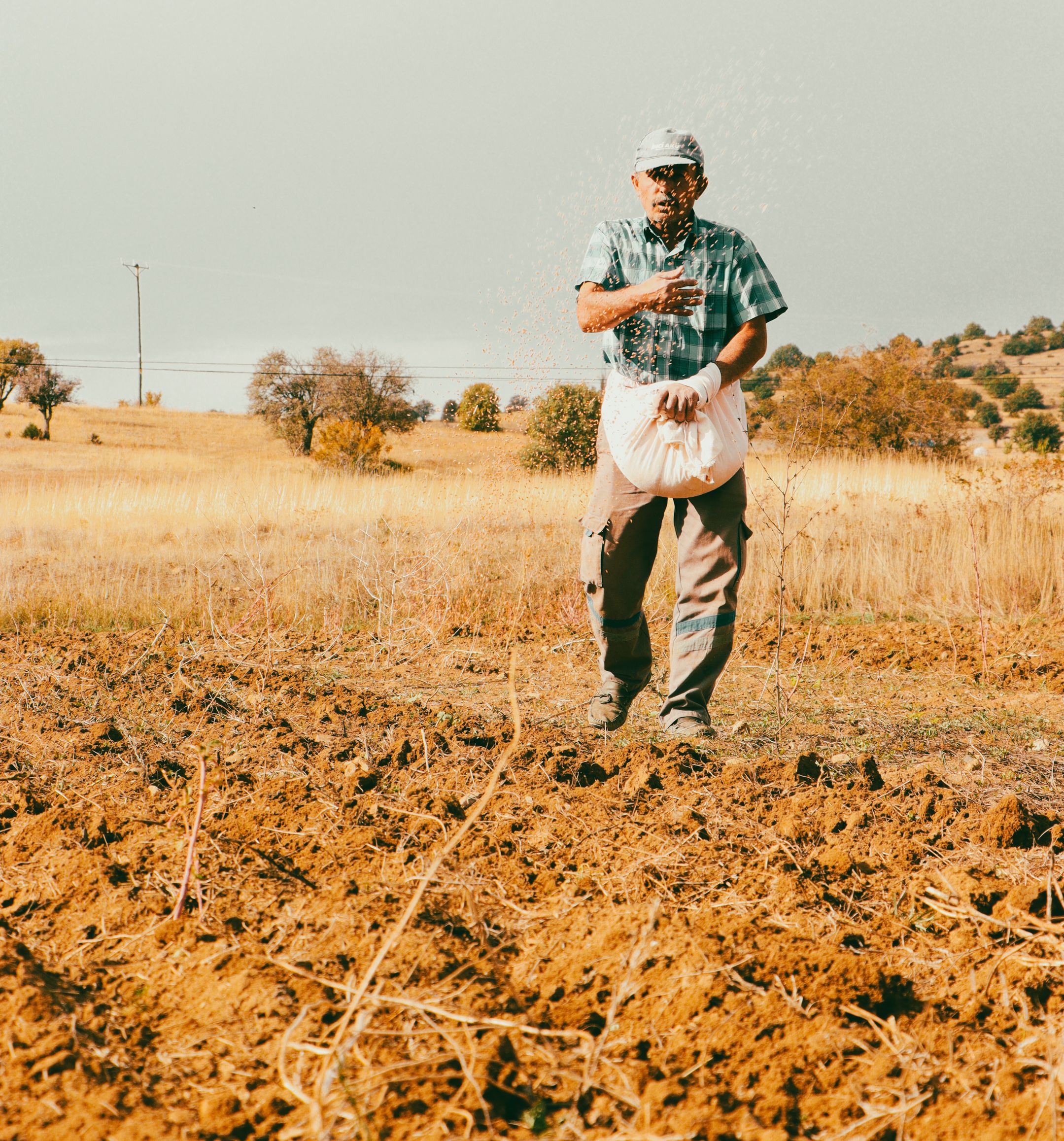 An adult farmer sowing seeds in a sunlit rural field during fall.