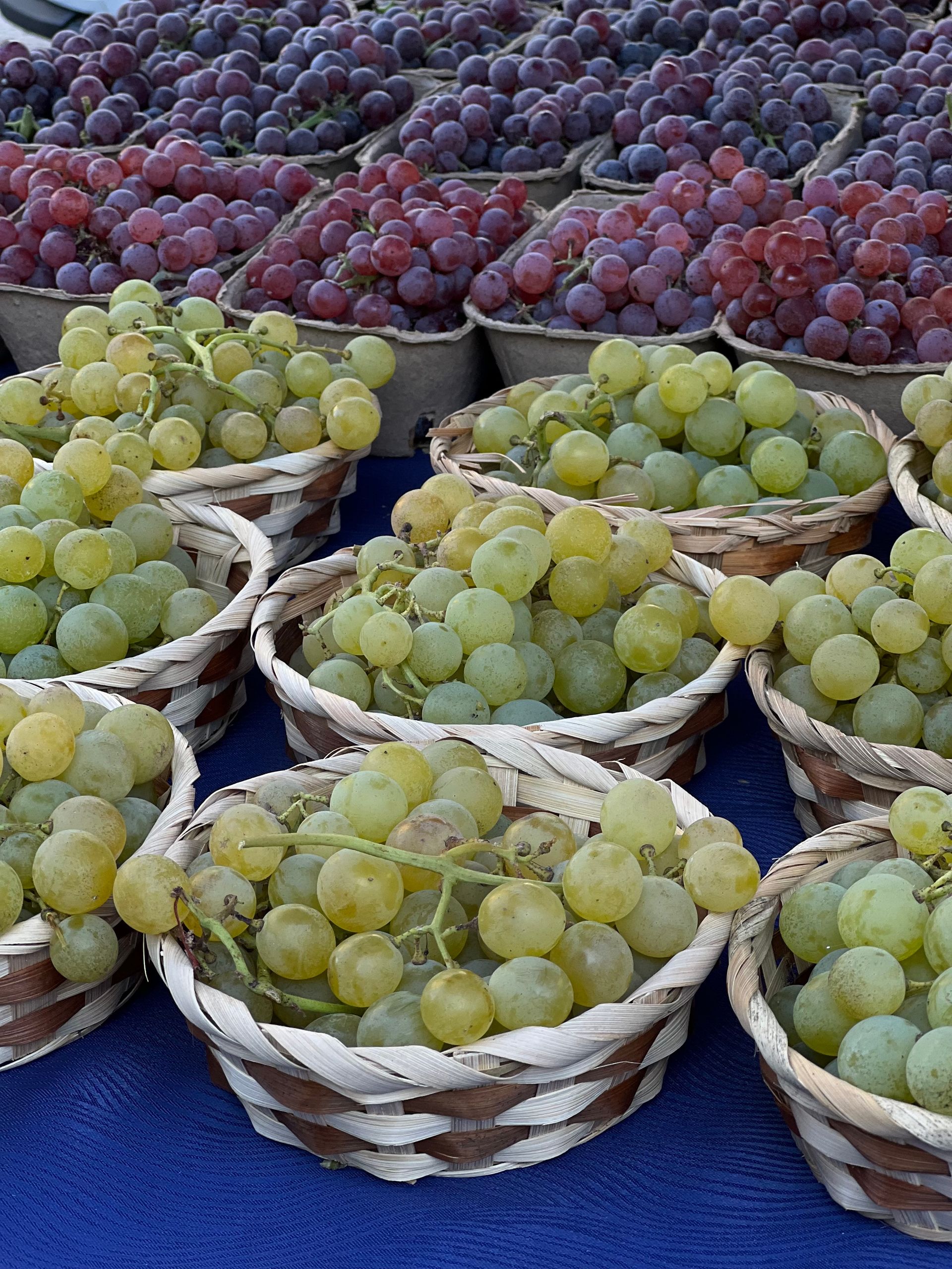 Vibrant display of green and red grapes in market baskets.